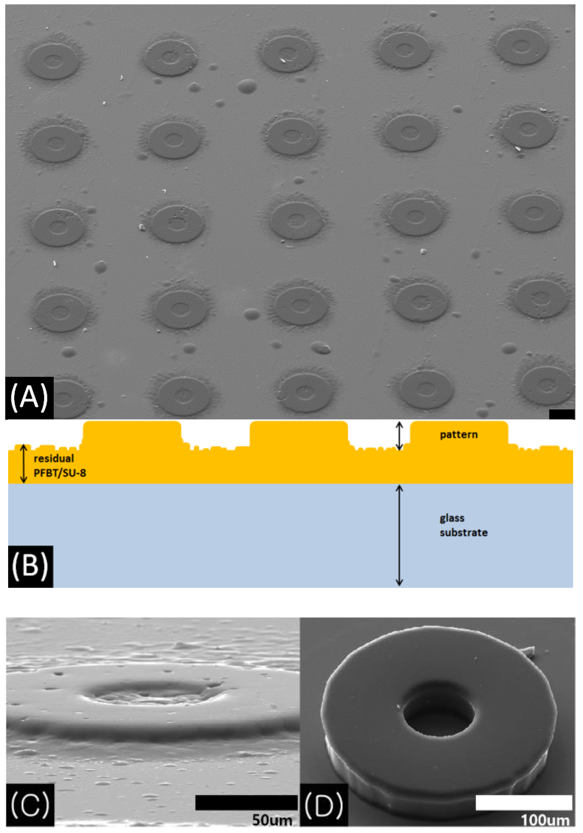 Applsci 10 08740 g002