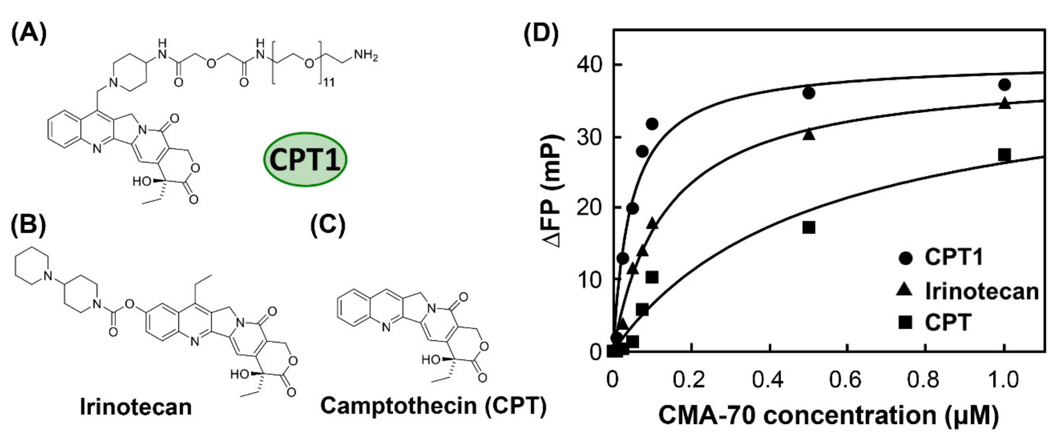Applsci 10 08755 g002