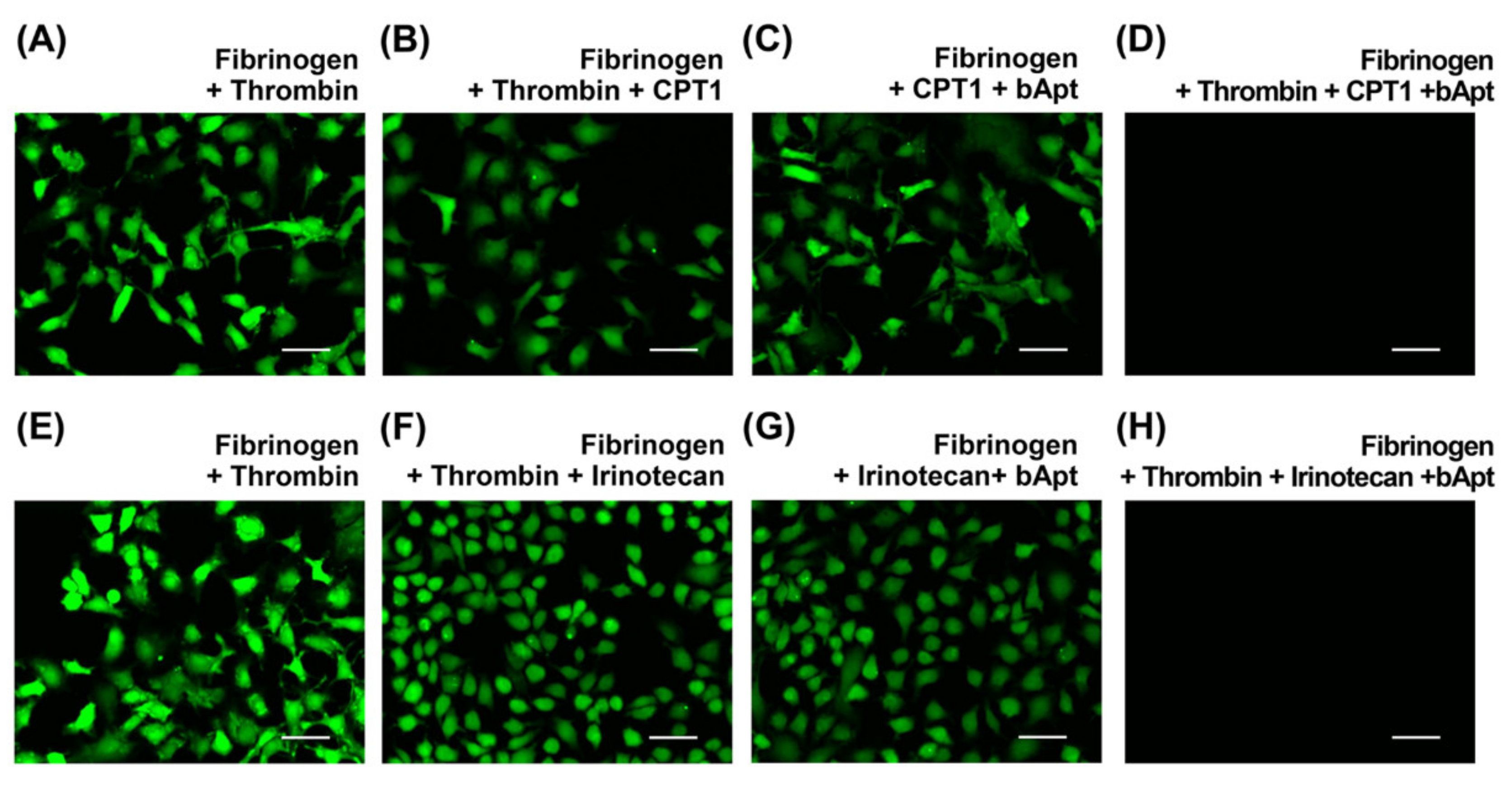 Applsci 10 08755 g004