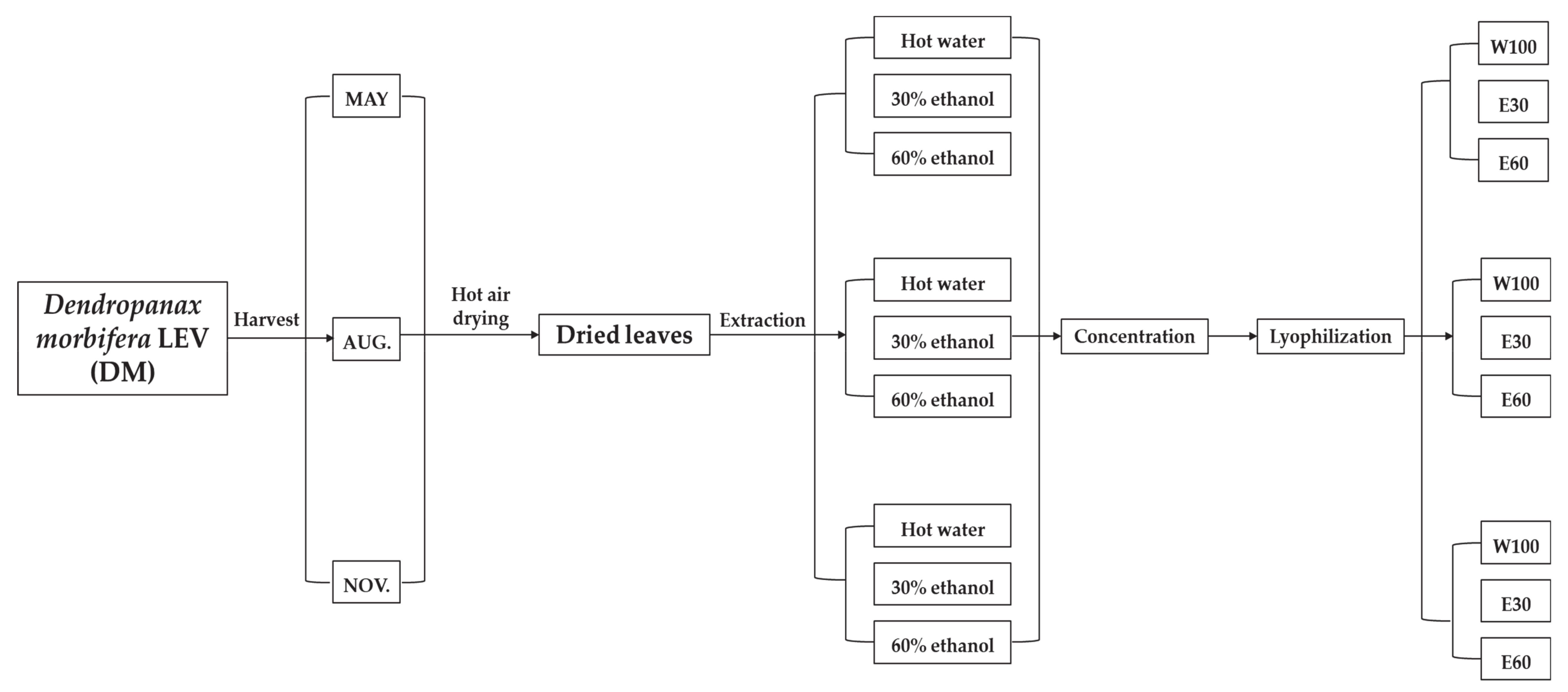 Applsci 10 08756 g001