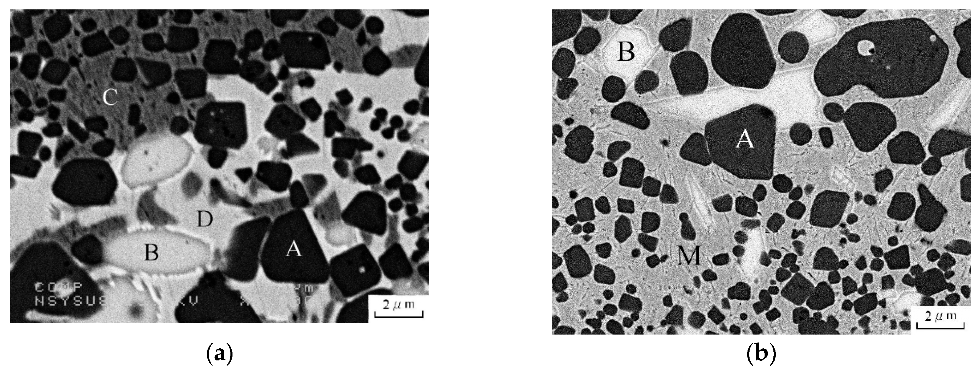 Applsci 10 08776 g001