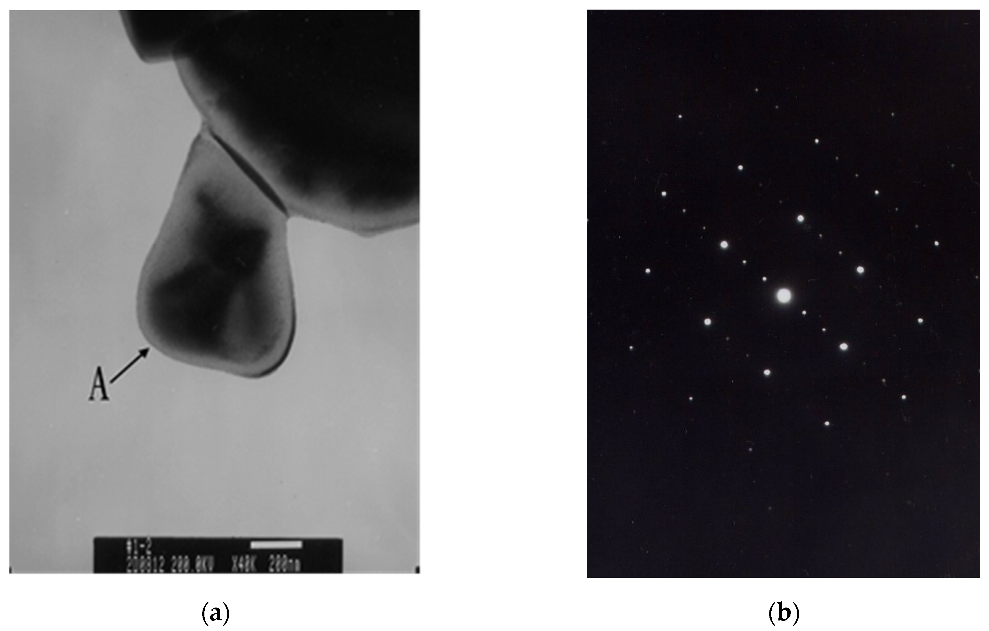 Applsci 10 08776 g002