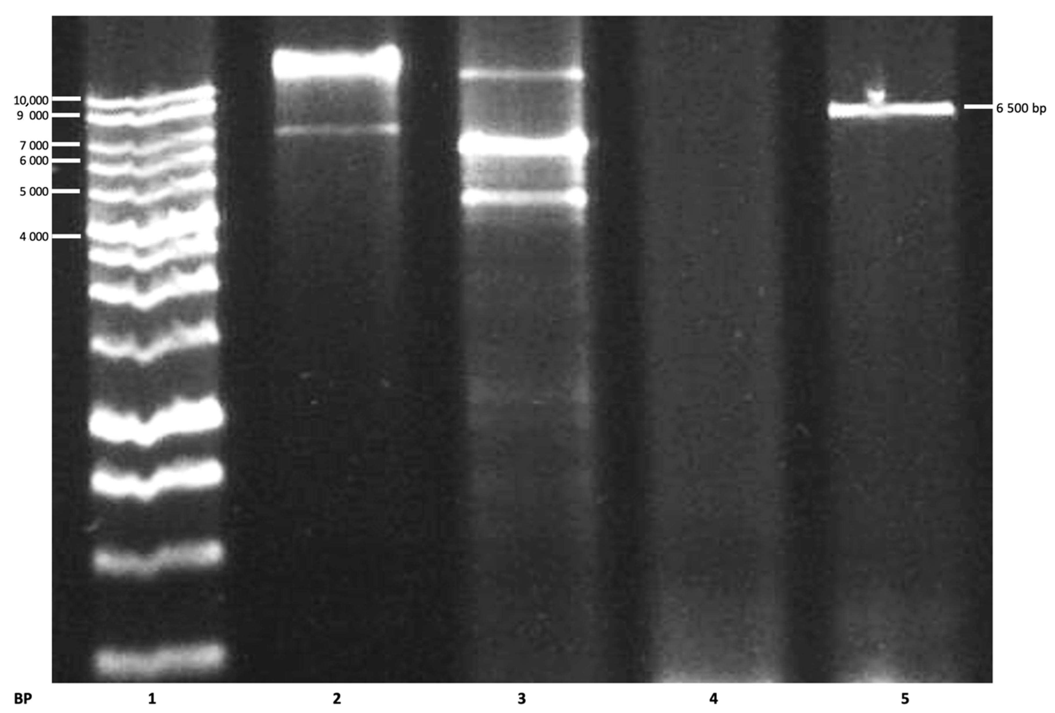 Applsci 10 08787 g004 Applsci 10 08787 g004