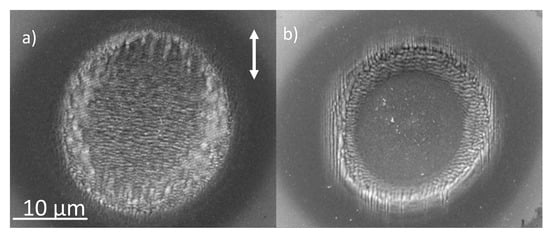 Applsci 10 08811 g0a3