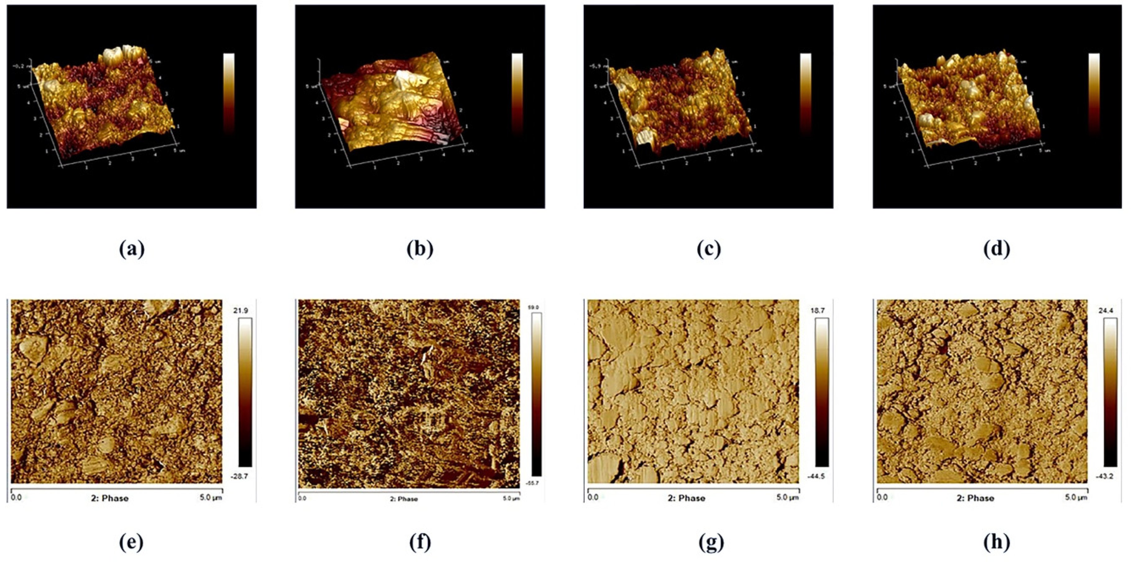 Applsci 10 08856 g004