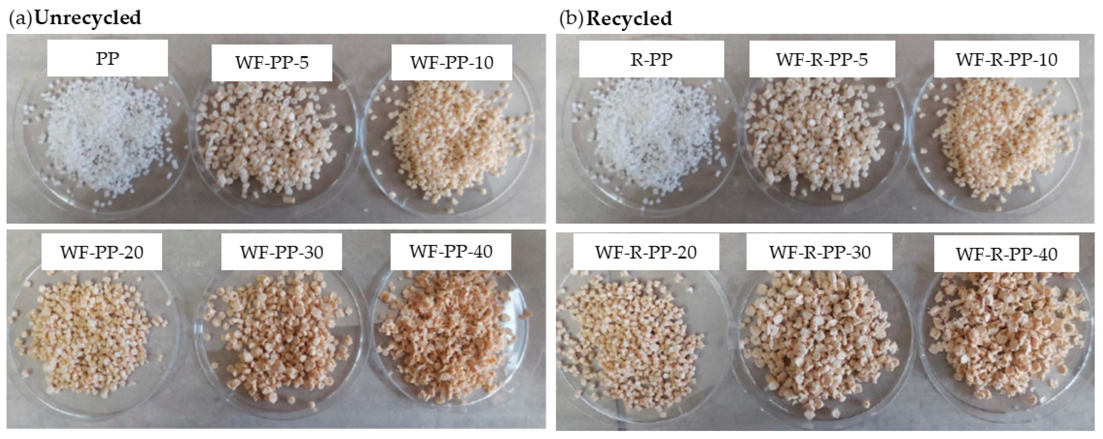 Applsci 10 08863 g001