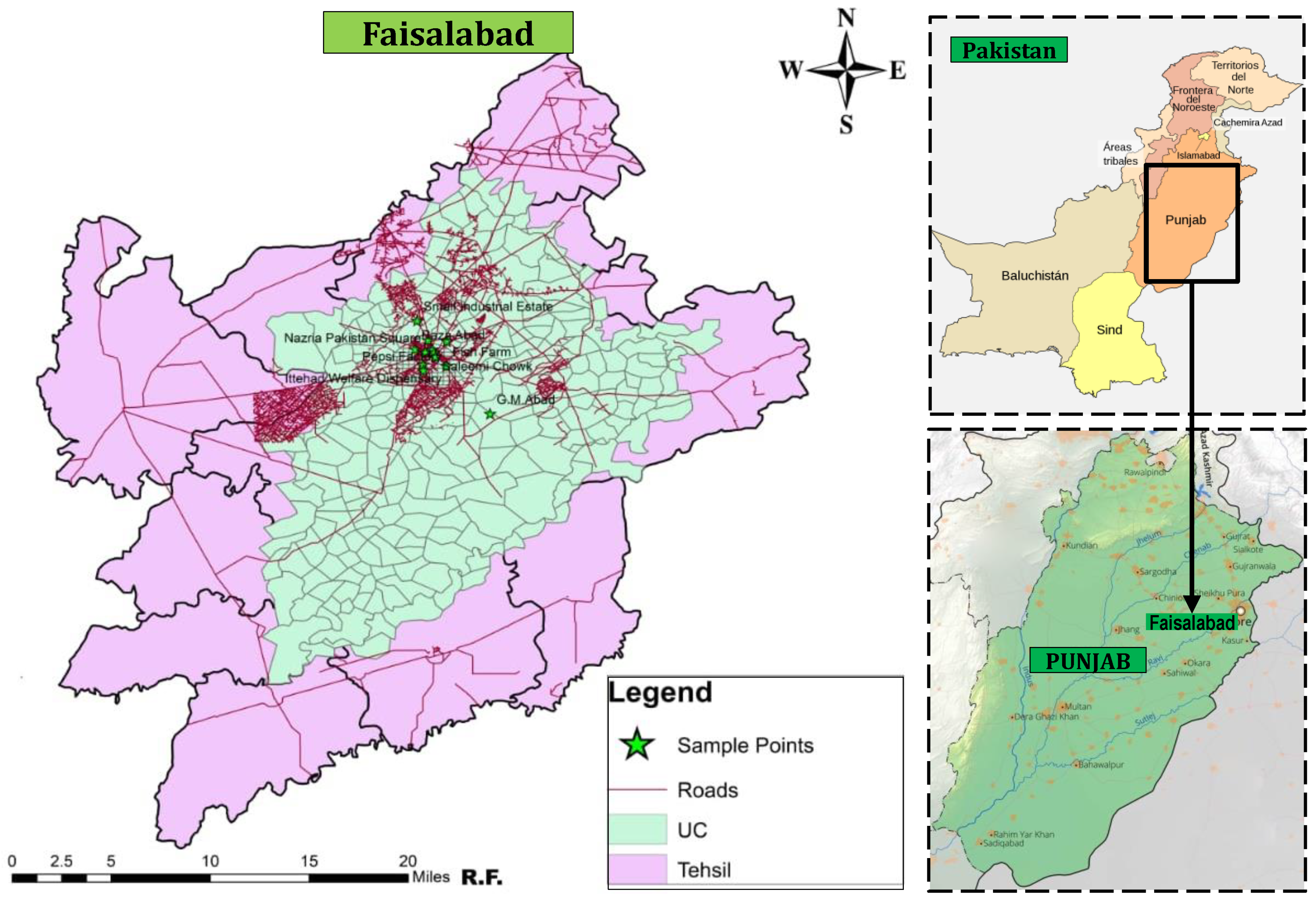 Applsci 10 08864 g001