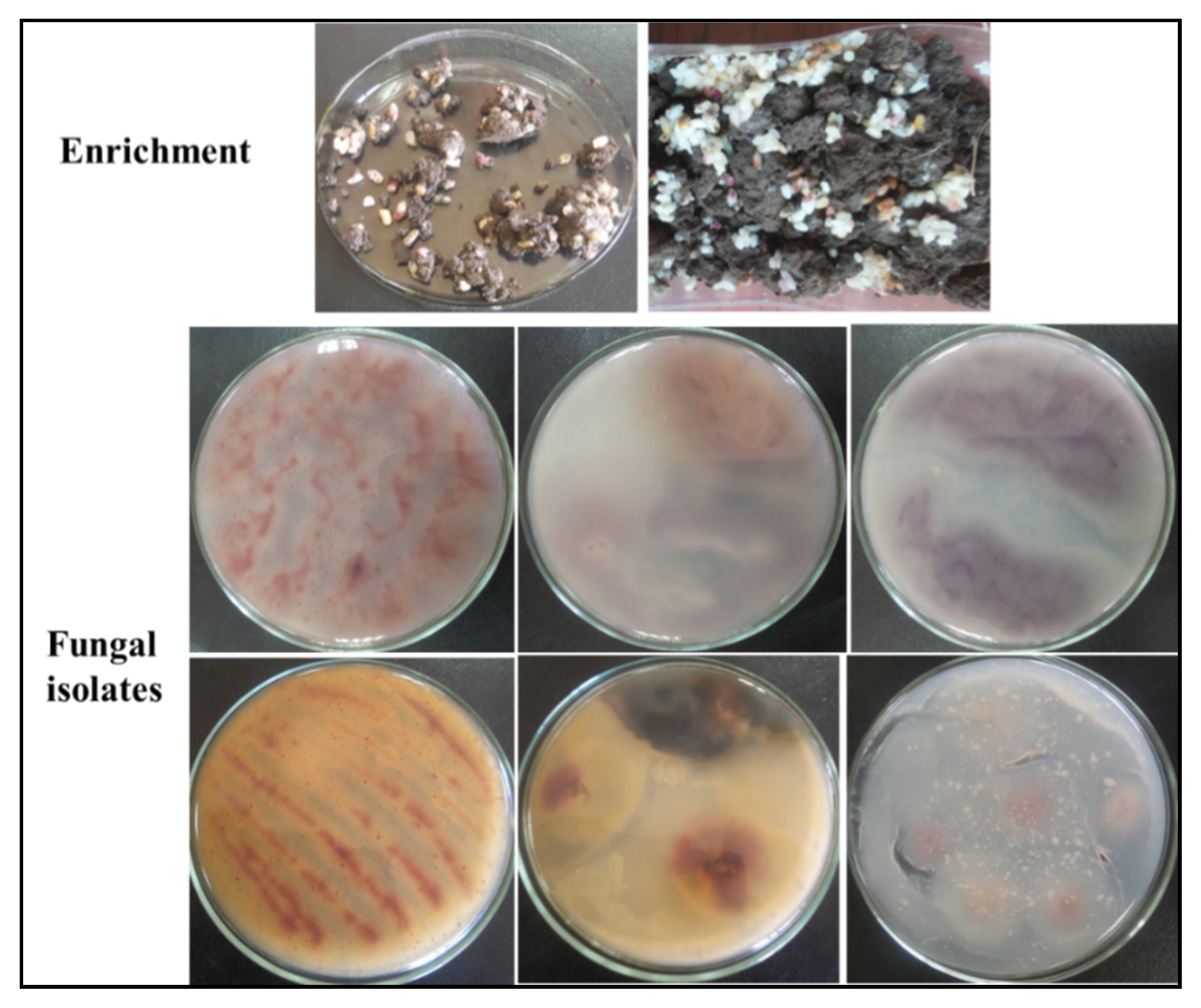 Applsci 10 08867 g001