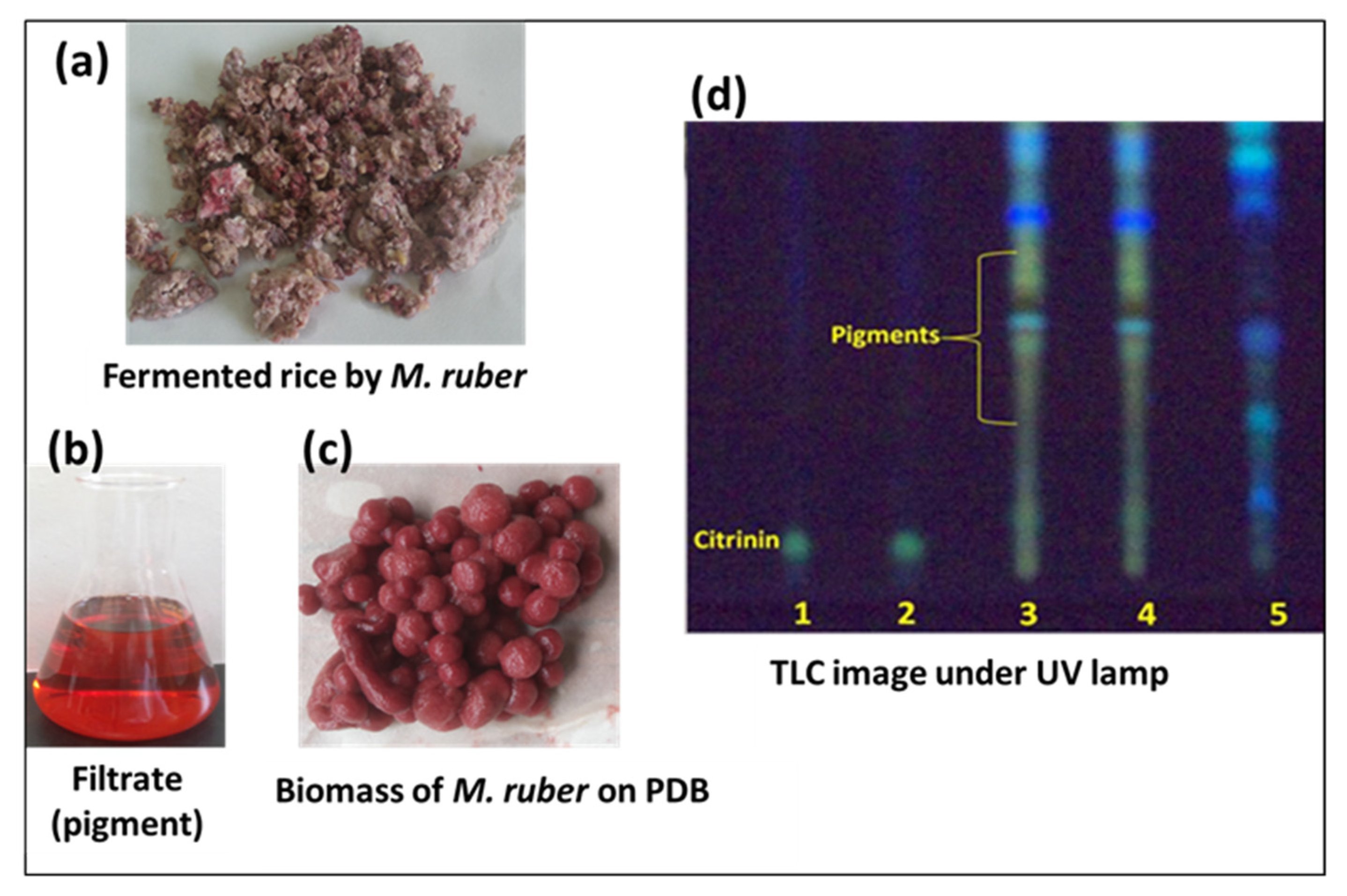 Applsci 10 08867 g005