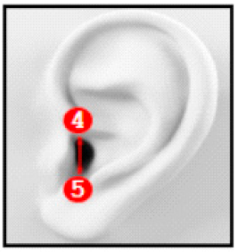 Applsci 10 08890 i007 Applsci 10 08890 i007