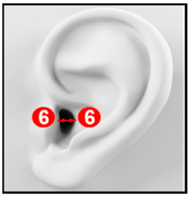 Applsci 10 08890 i008 Applsci 10 08890 i008