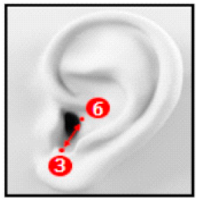 Applsci 10 08890 i009 Applsci 10 08890 i009