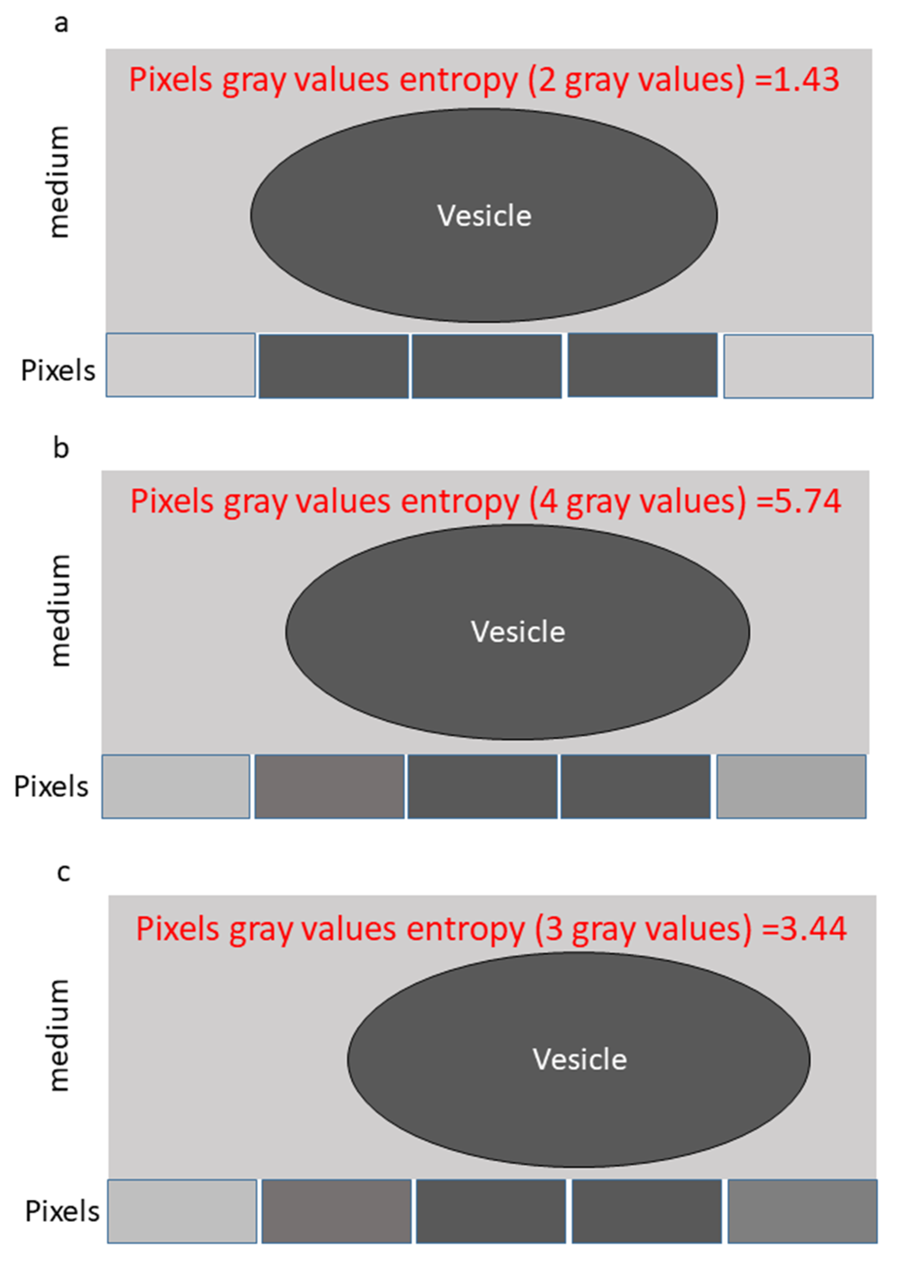Applsci 10 08894 g001