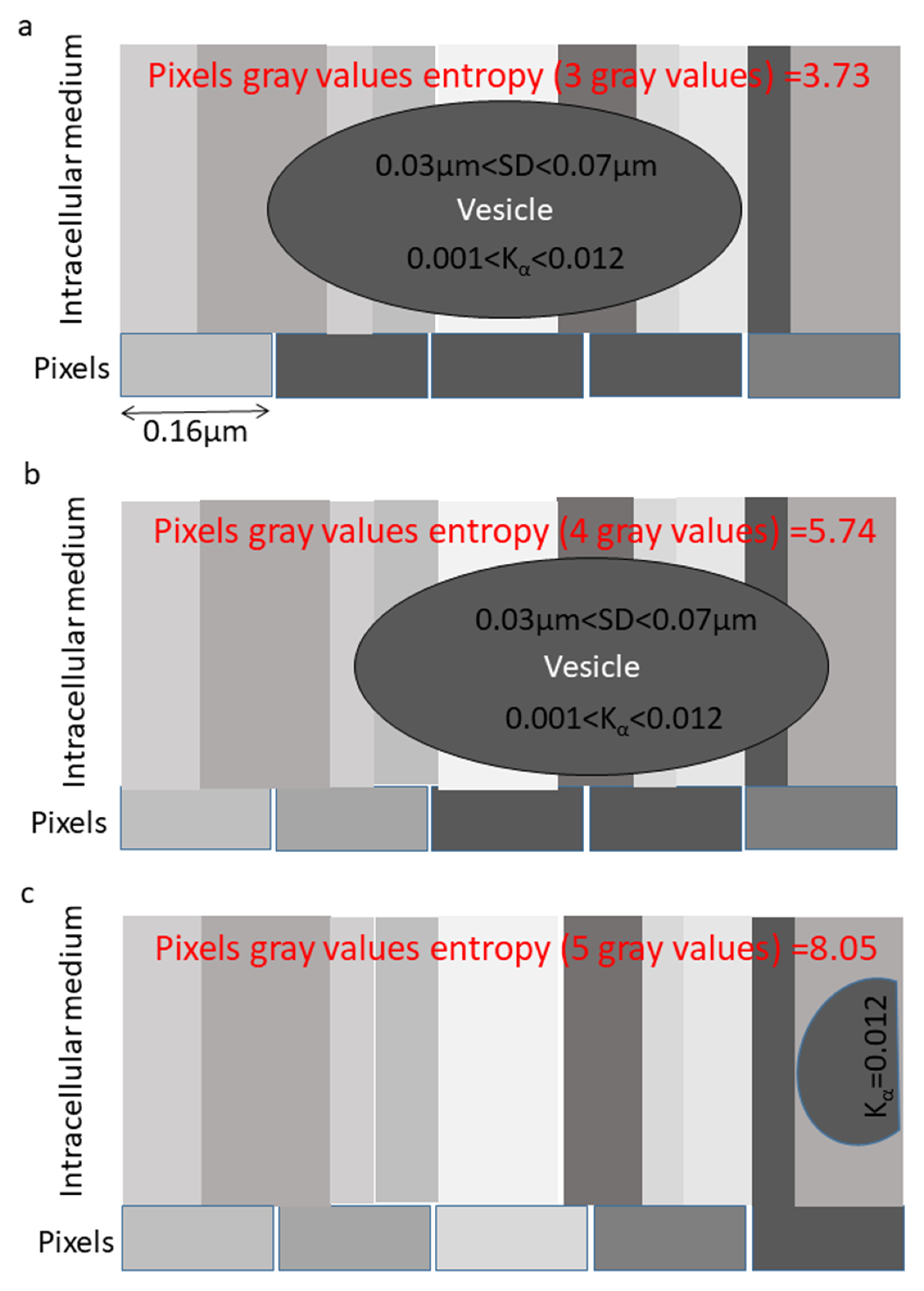 Applsci 10 08894 g002