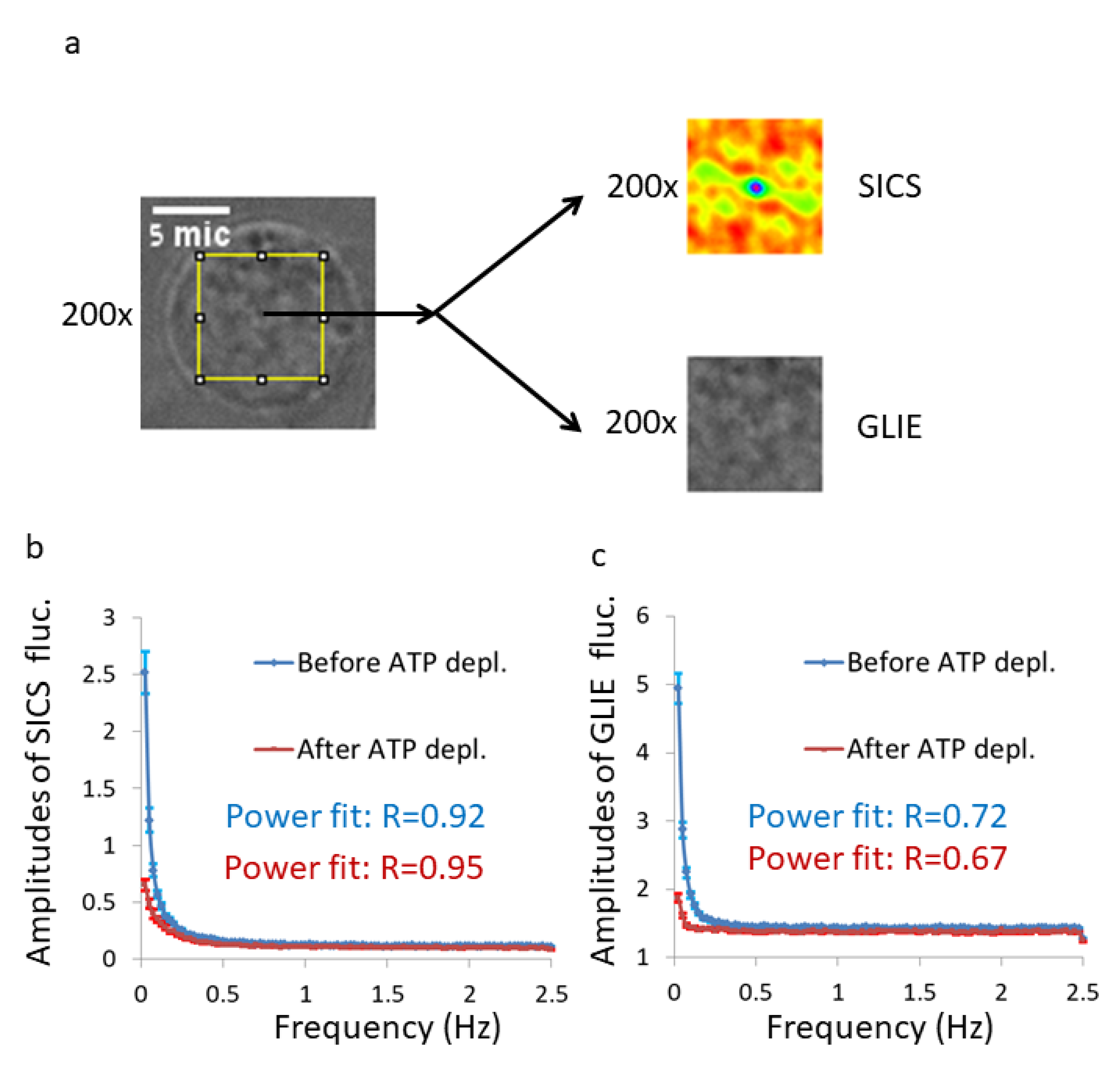 Applsci 10 08894 g004
