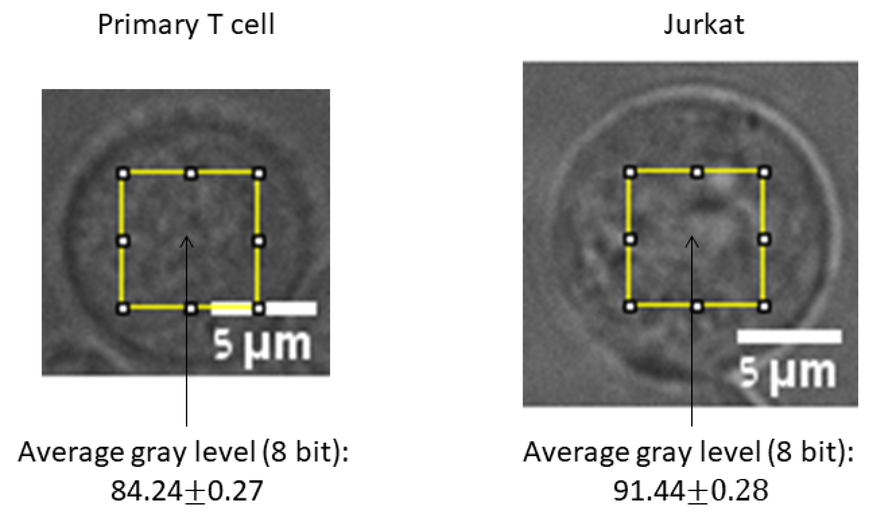Applsci 10 08894 g009