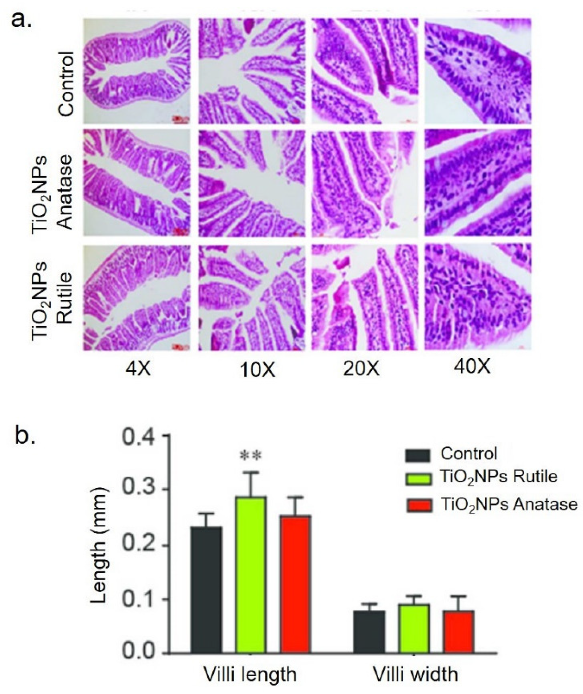 Applsci 10 08896 g005