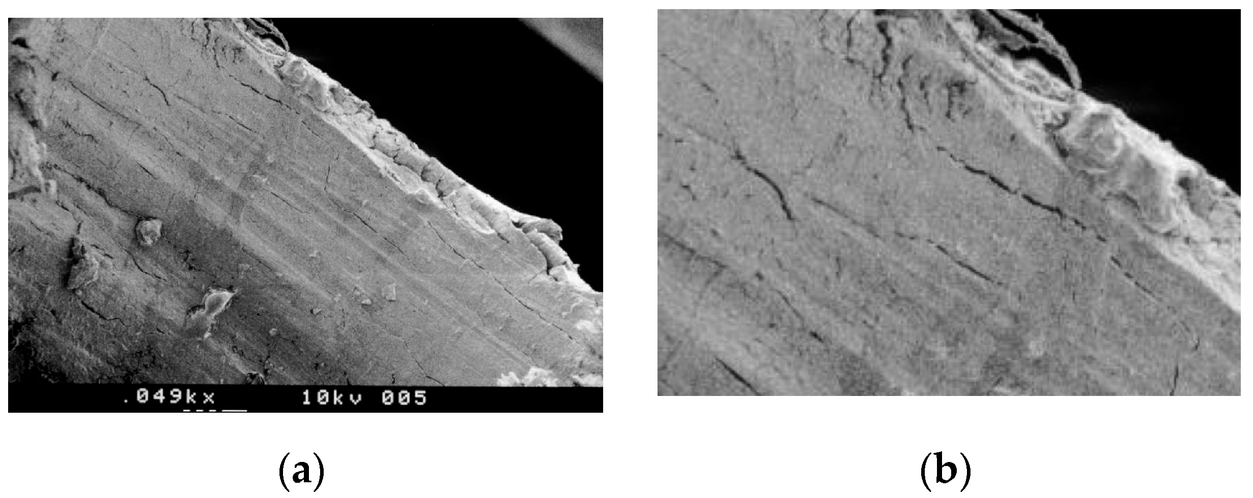 Applsci 10 08909 g001 Applsci 10 08909 g001