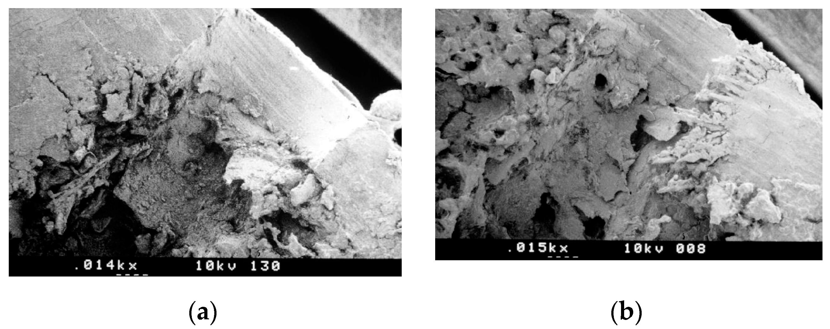Applsci 10 08909 g002 Applsci 10 08909 g002