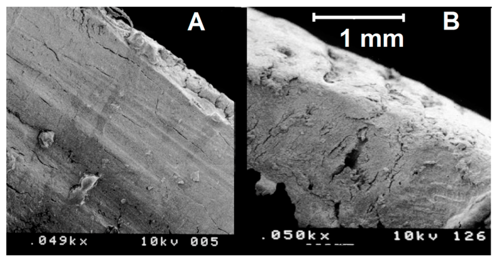 Applsci 10 08909 g004 Applsci 10 08909 g004