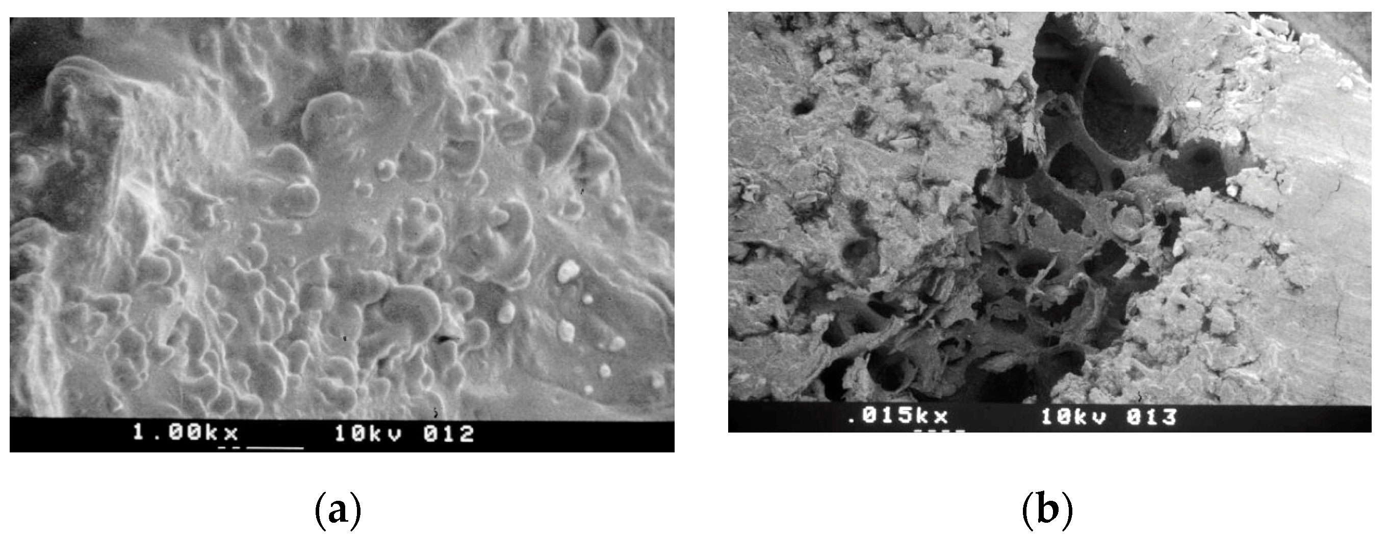 Applsci 10 08909 g005 Applsci 10 08909 g005