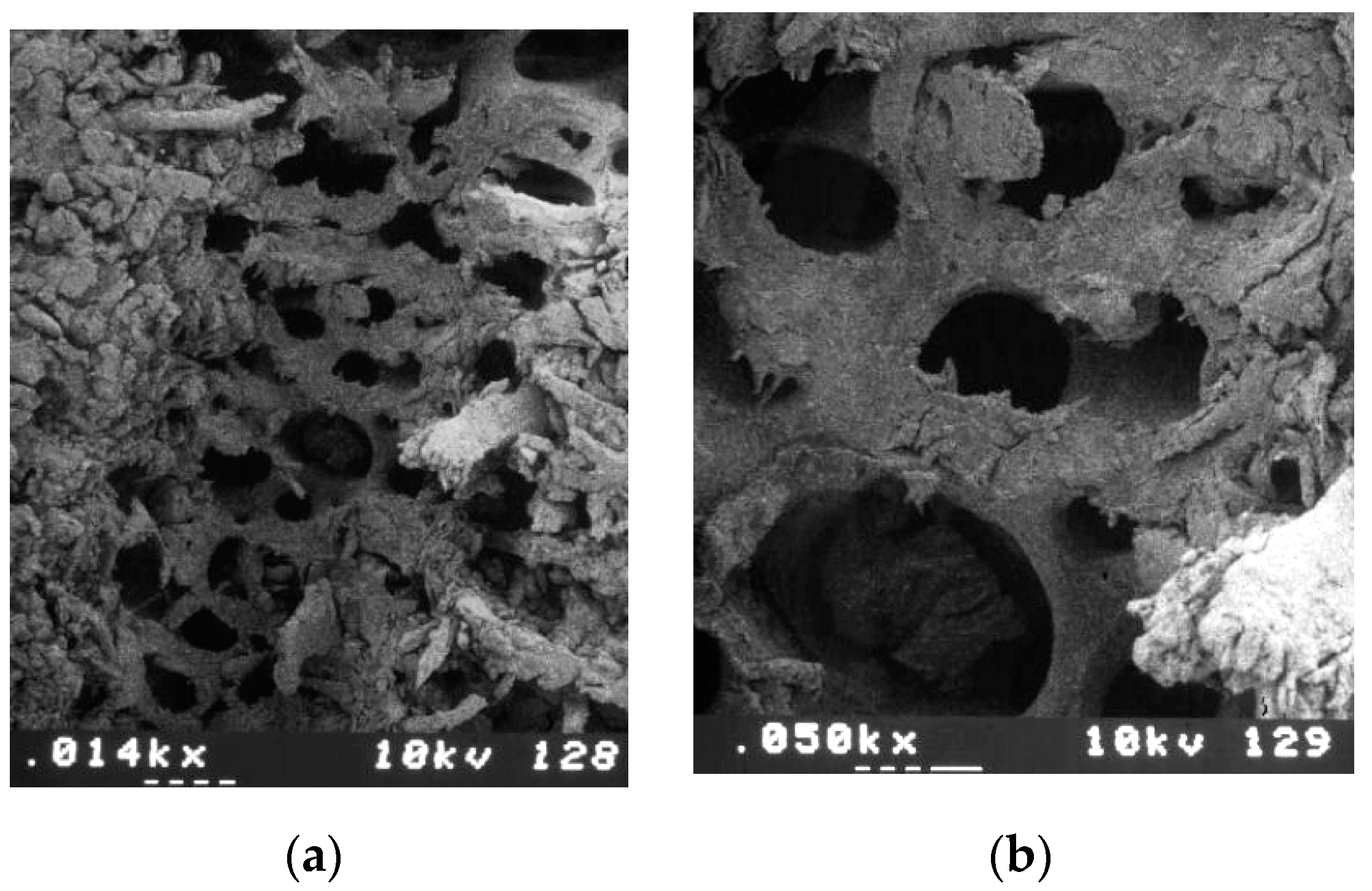 Applsci 10 08909 g006 Applsci 10 08909 g006
