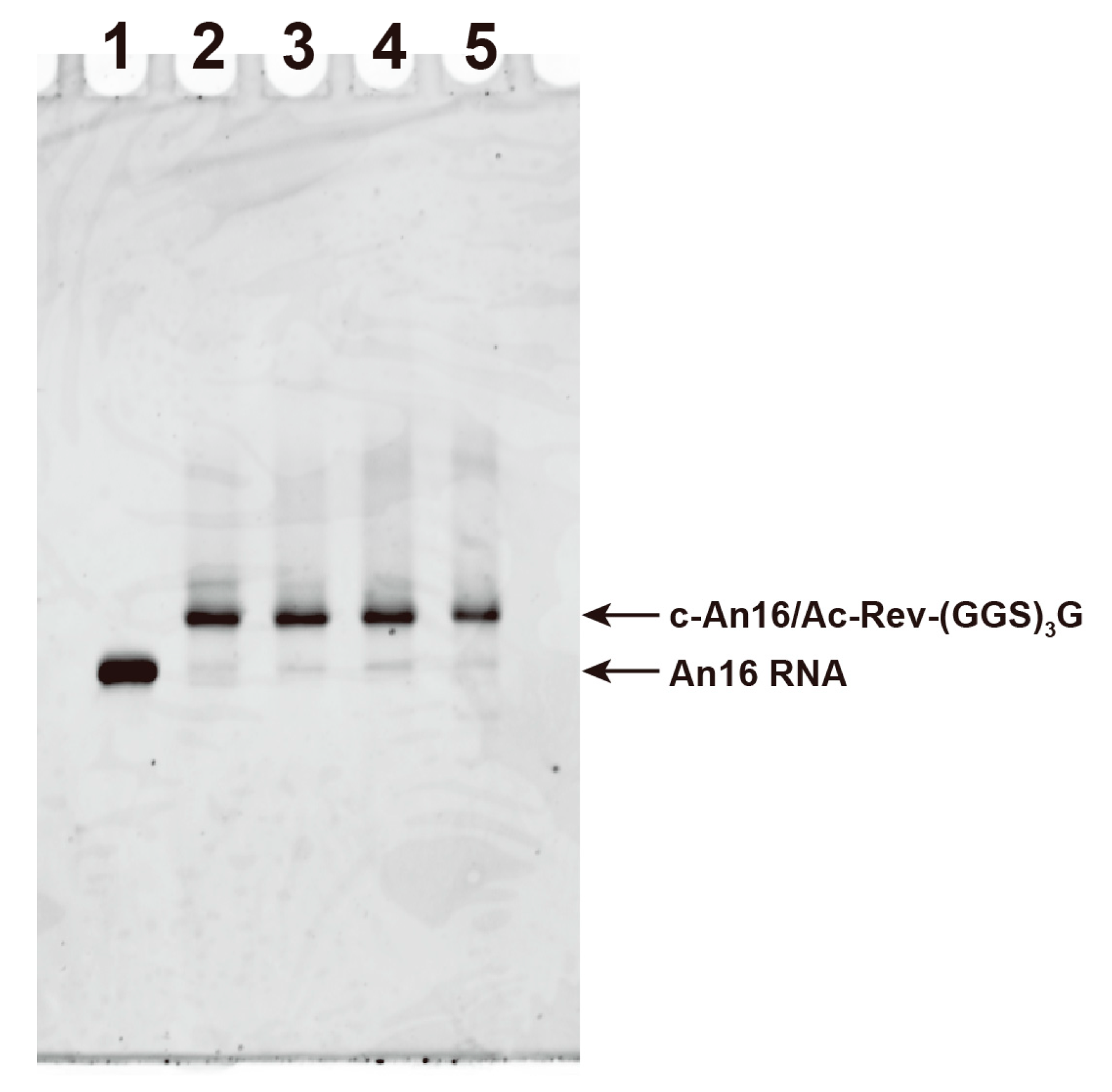 Applsci 10 08920 g002