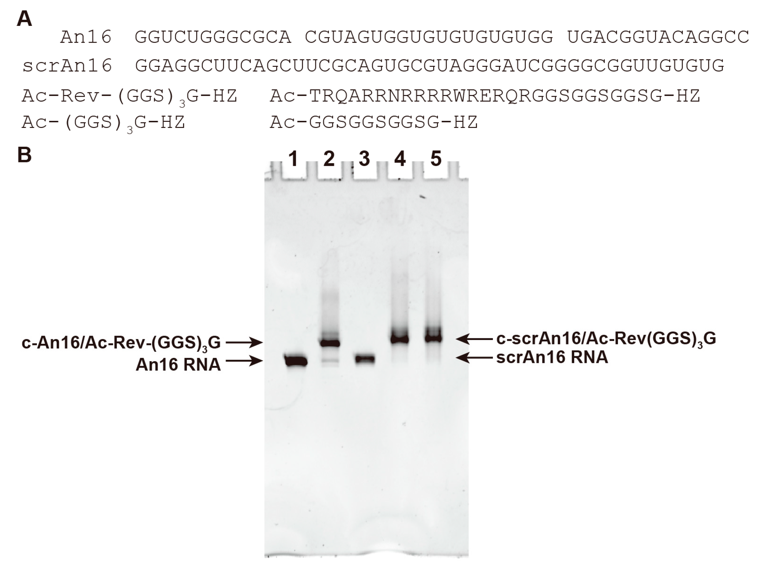 Applsci 10 08920 g003