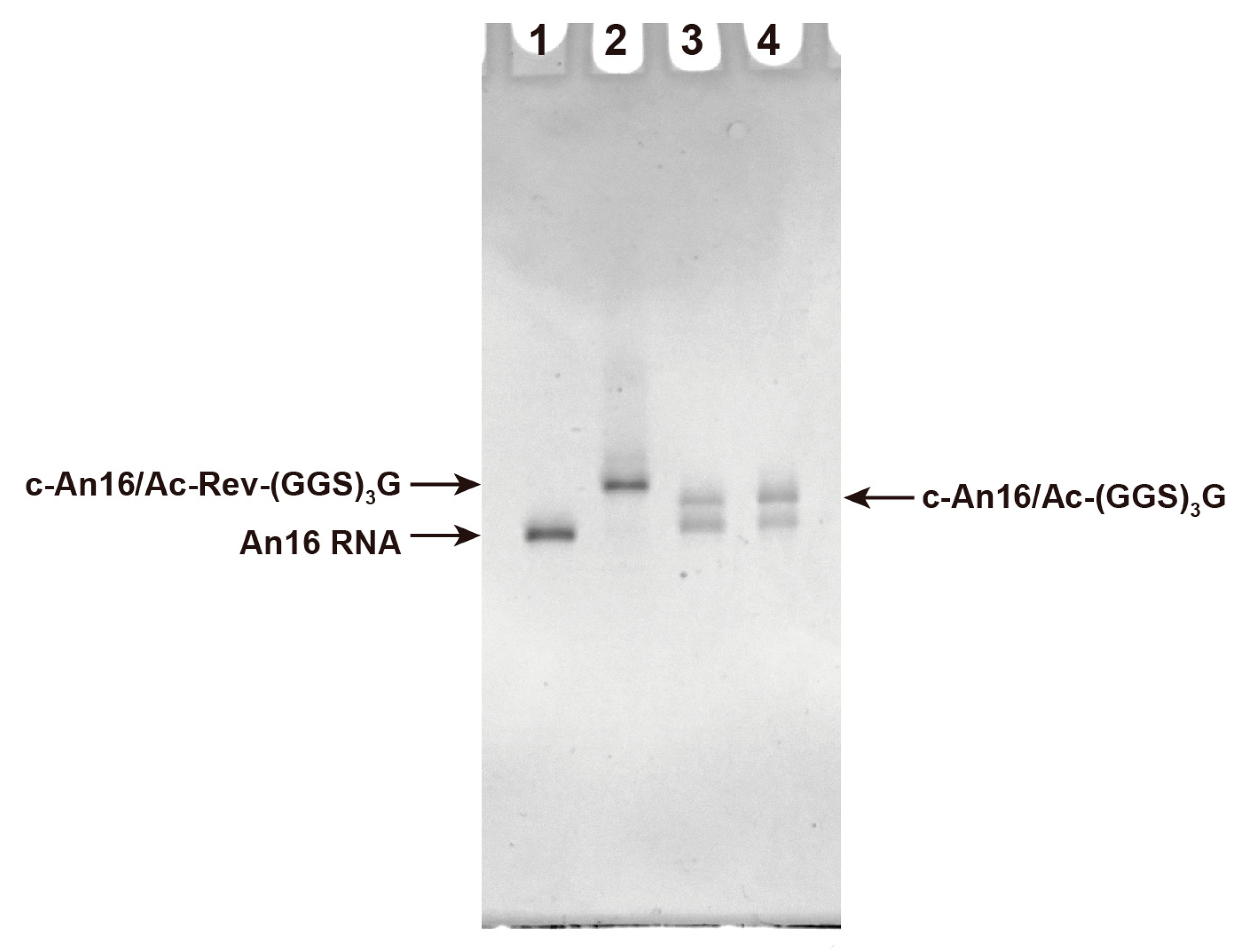 Applsci 10 08920 g004