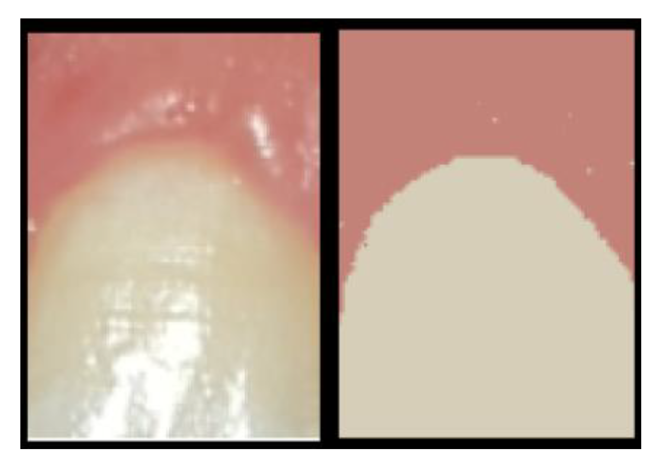 Applsci 10 08923 g008