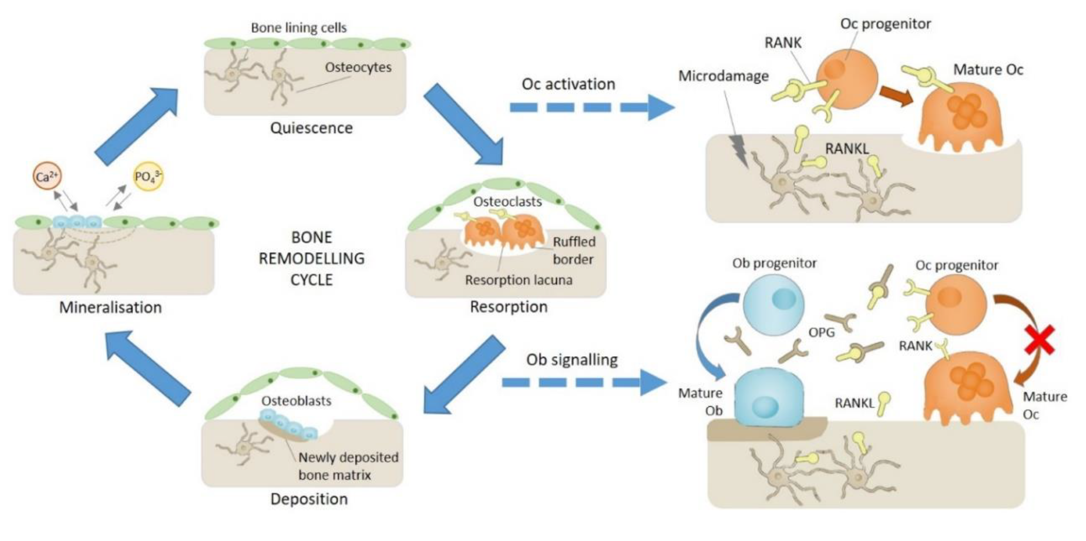 Applsci 10 08939 g001