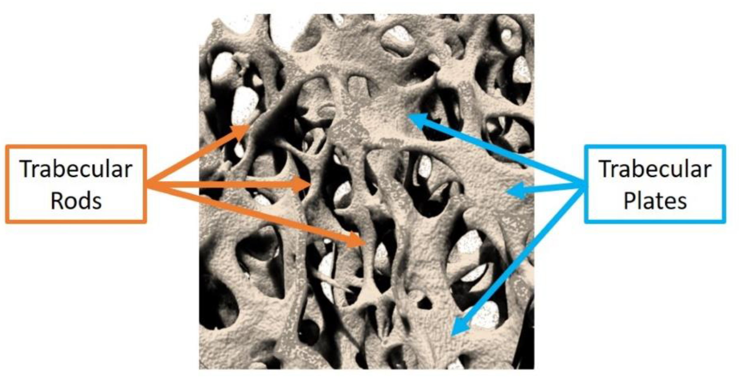 Applsci 10 08939 g003