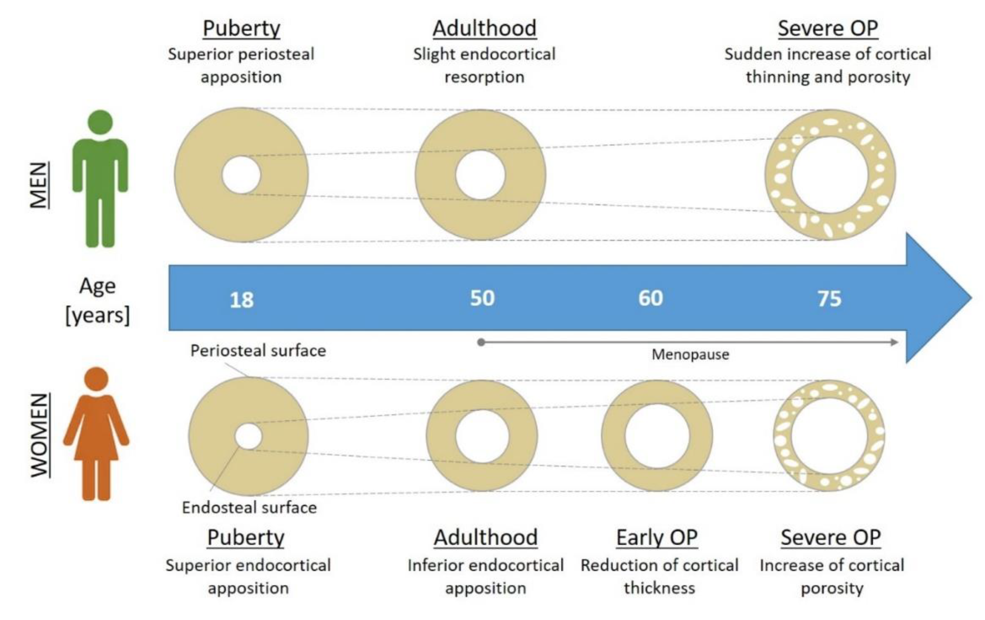 Applsci 10 08939 g004