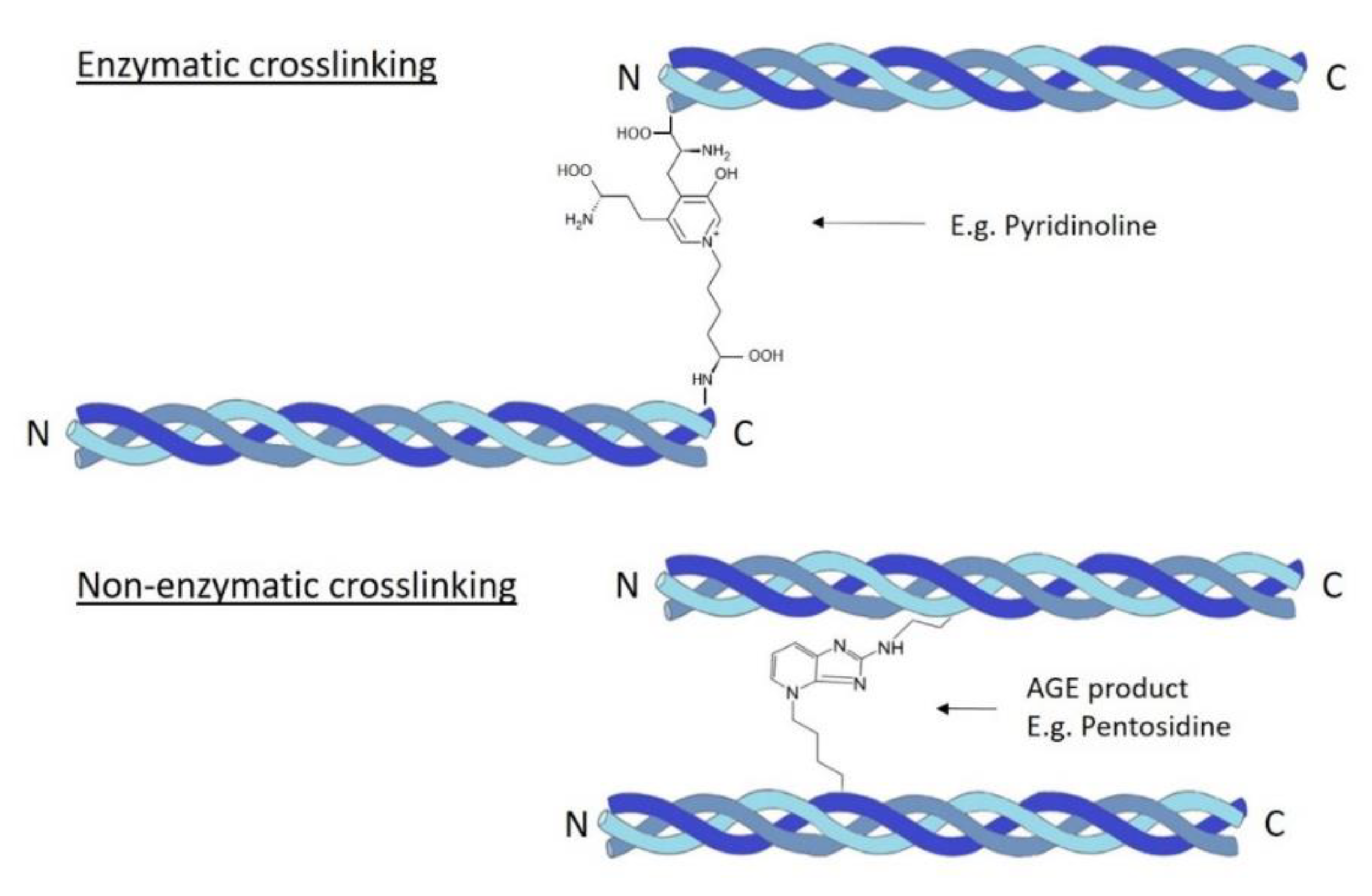 Applsci 10 08939 g005