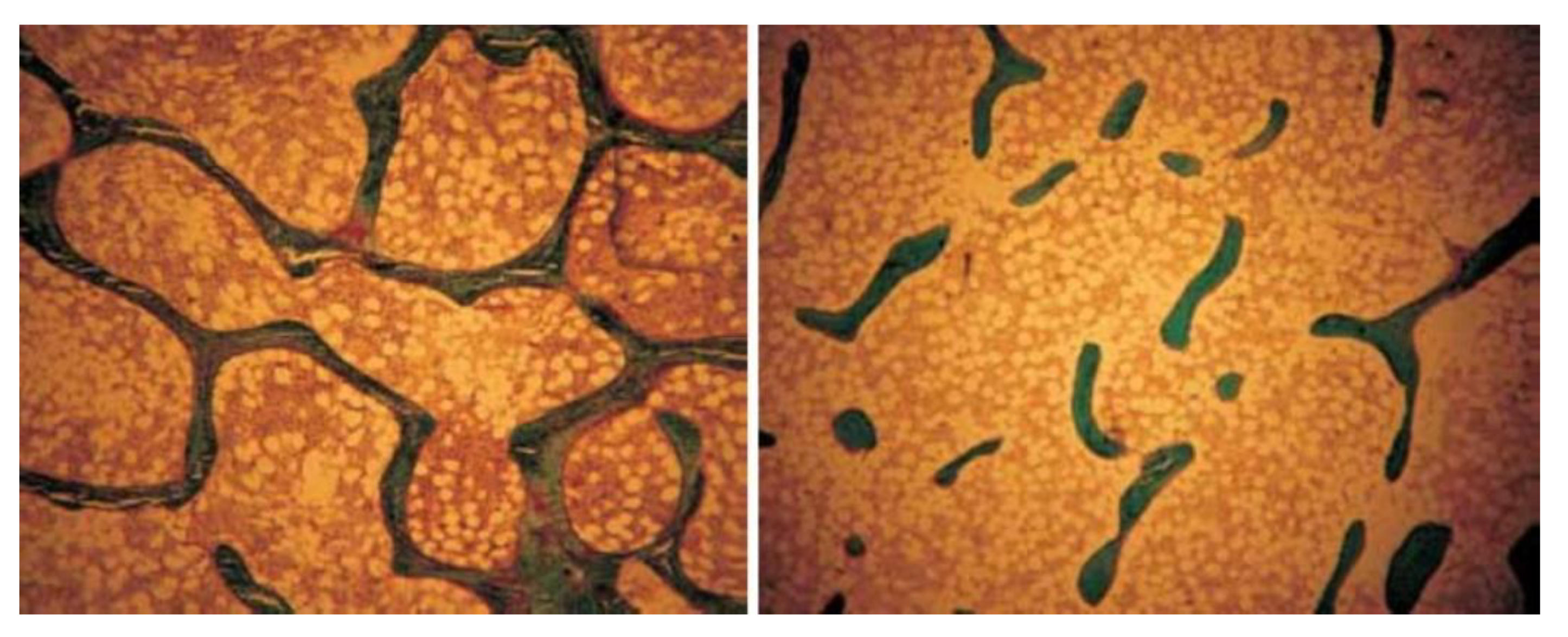 Applsci 10 08939 g008