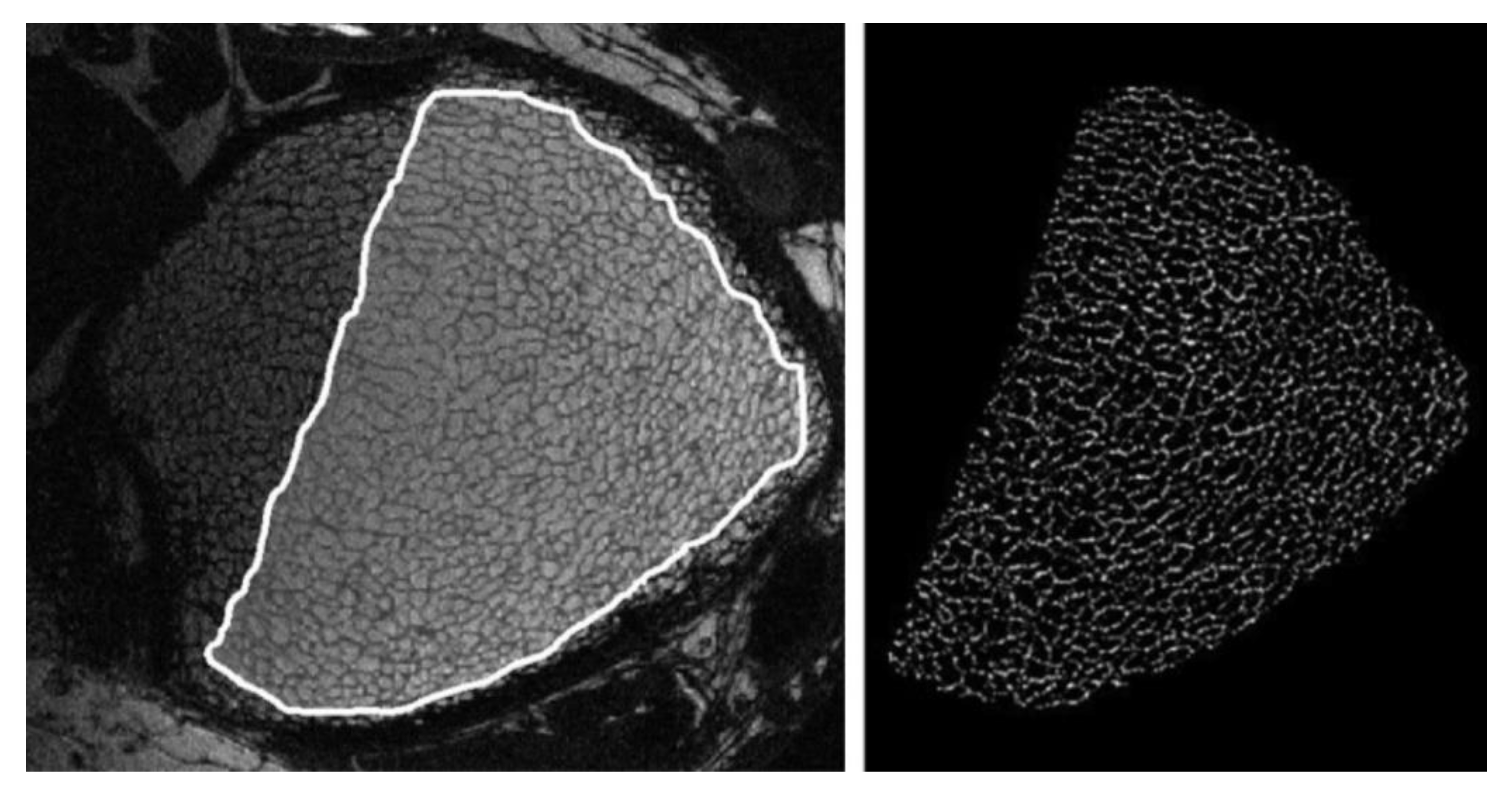 Applsci 10 08939 g009