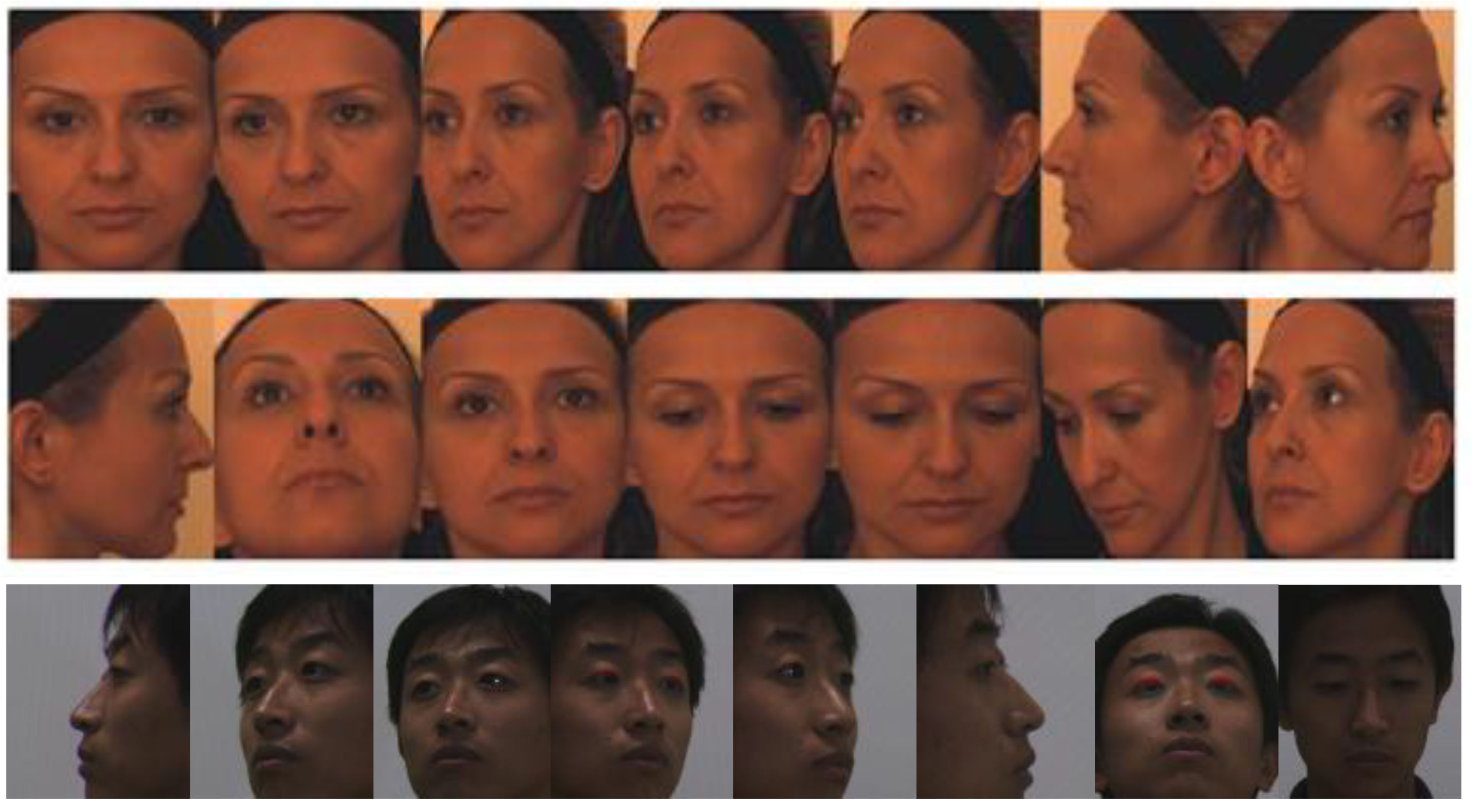 Applsci 10 08940 g002 Applsci 10 08940 g002