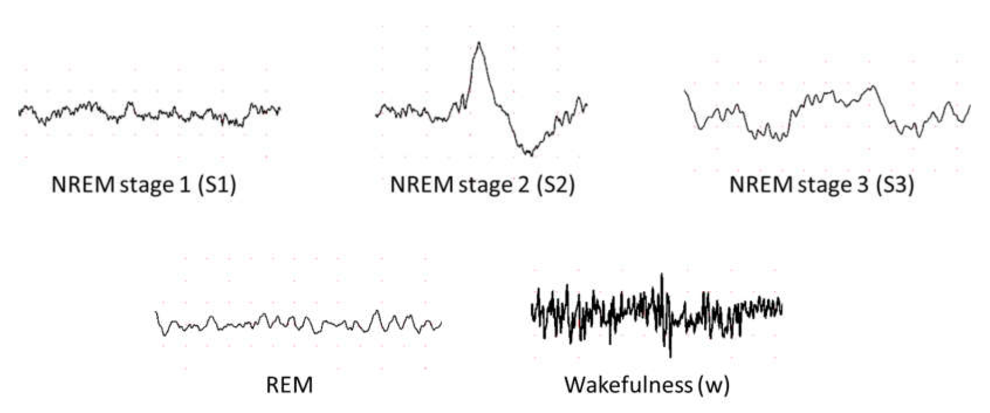 Applsci 10 08963 g005