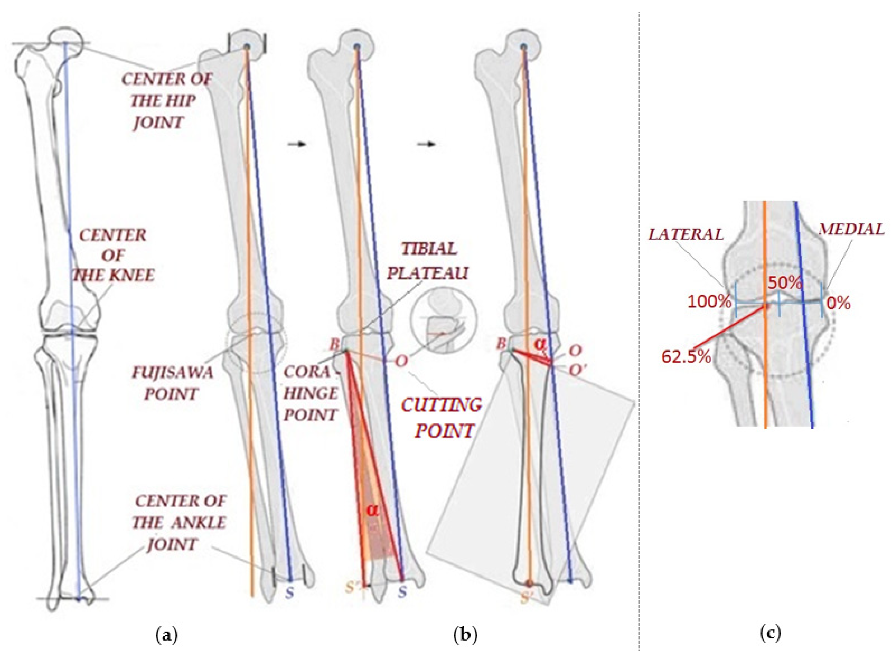 Applsci 10 08972 g001