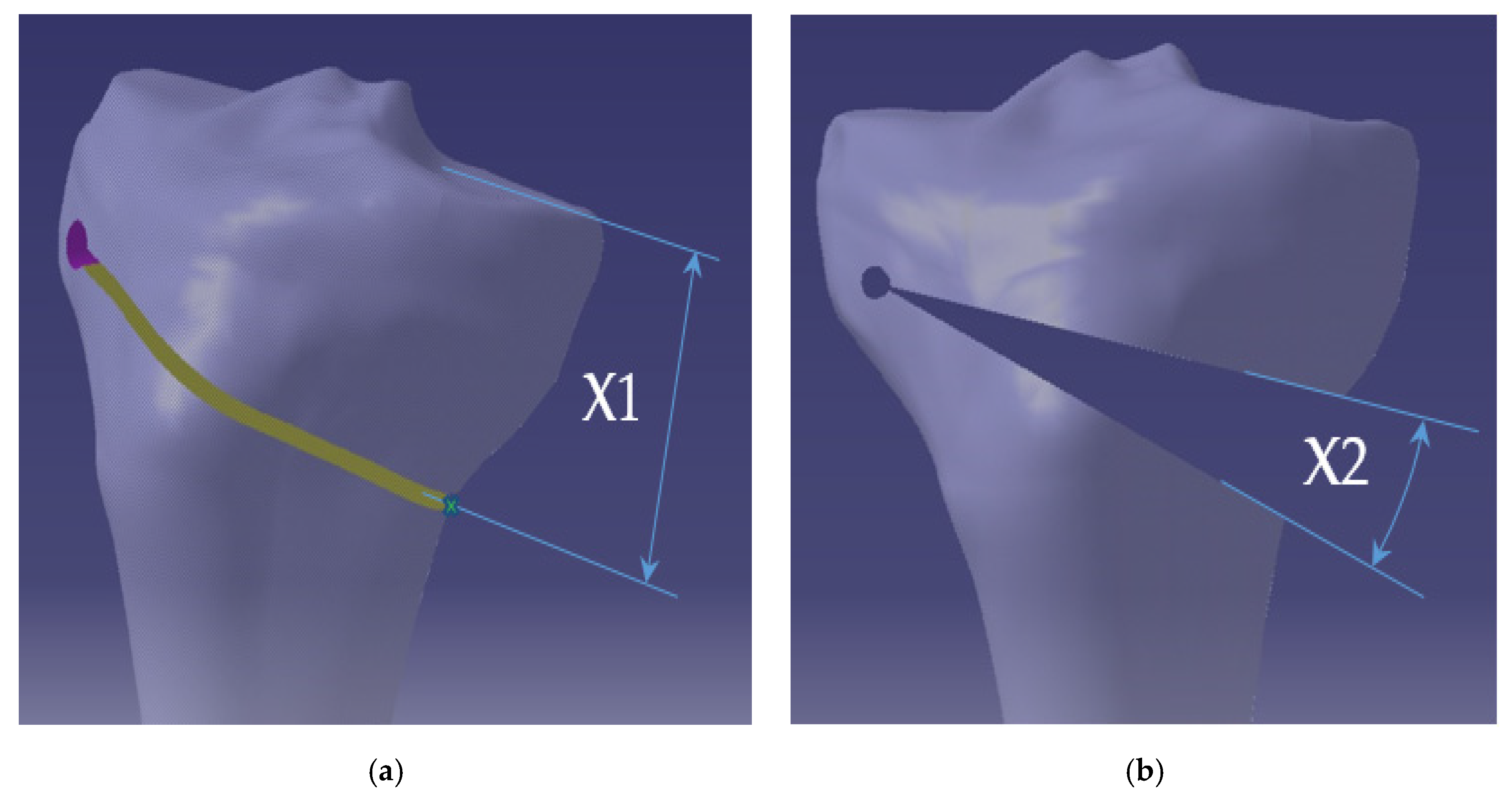 Applsci 10 08972 g002