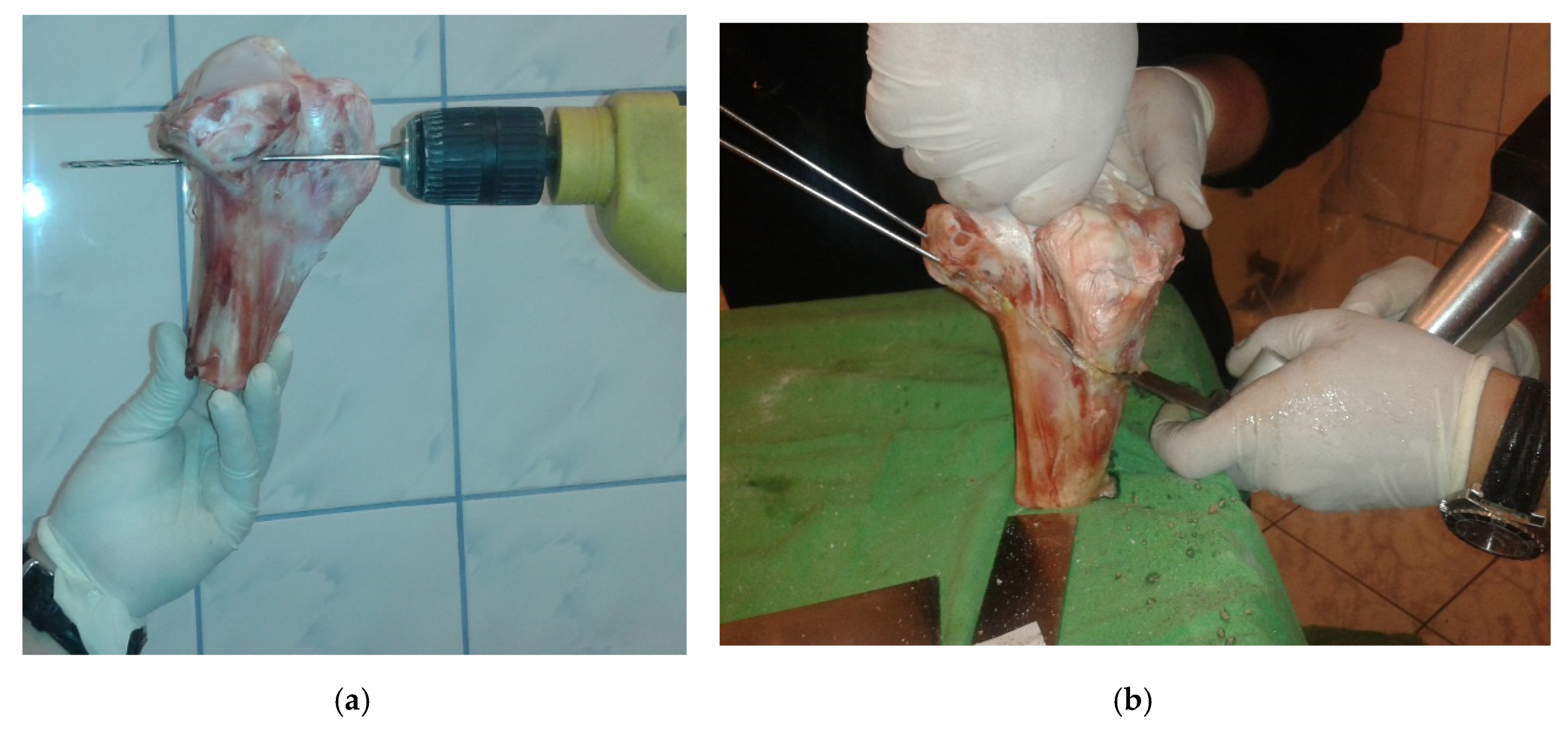 Applsci 10 08972 g005