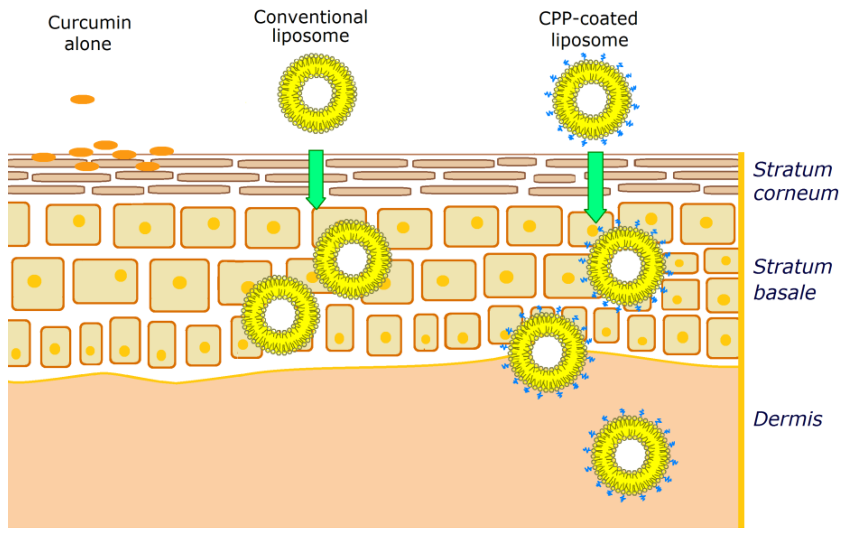 Applsci 10 08990 g003