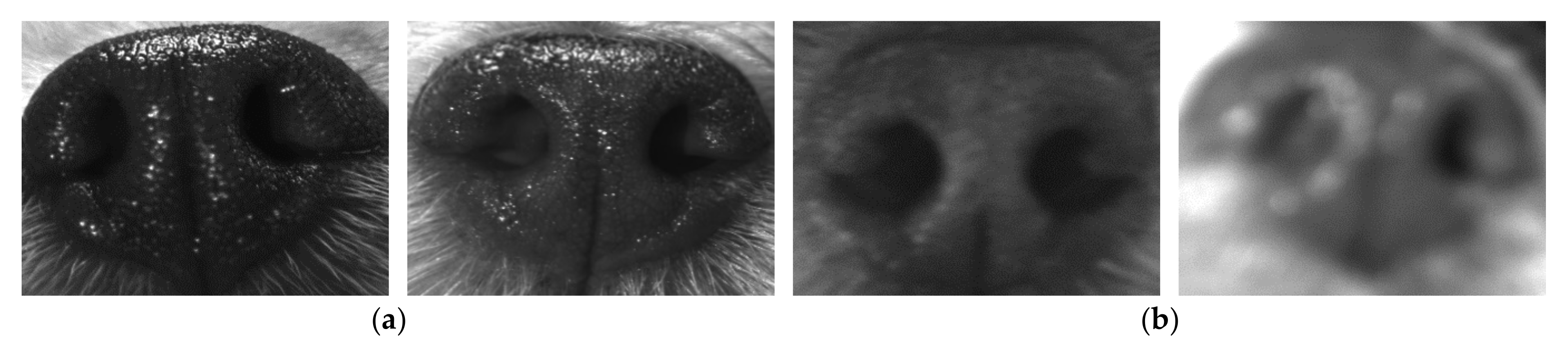 Applsci 10 08994 g002