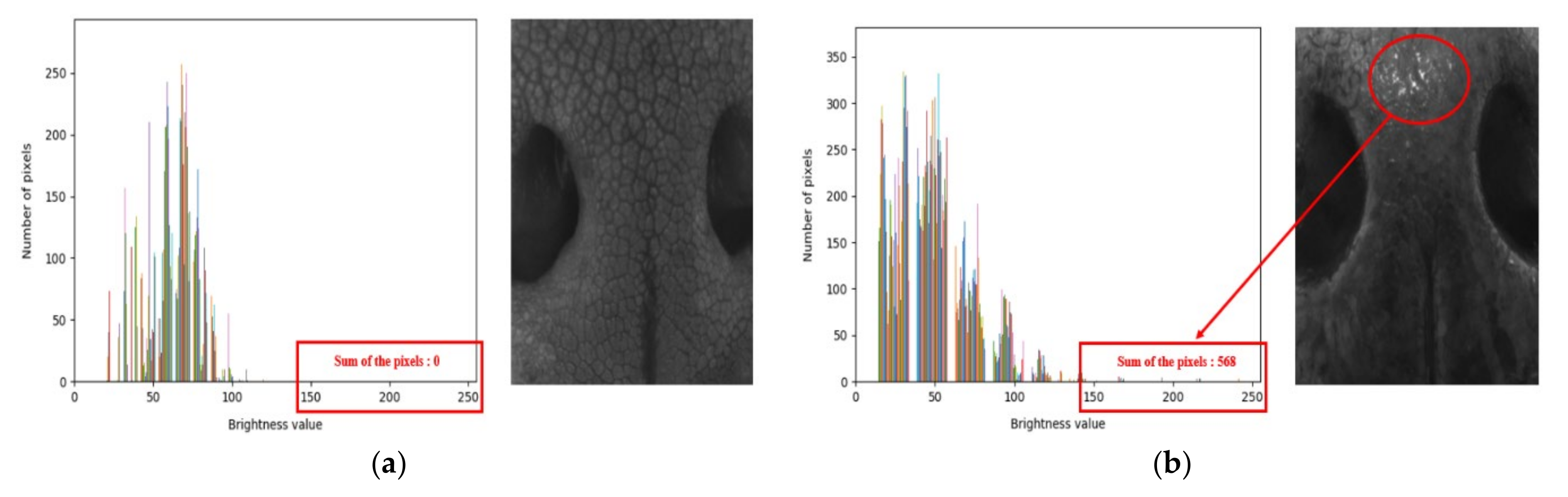 Applsci 10 08994 g003