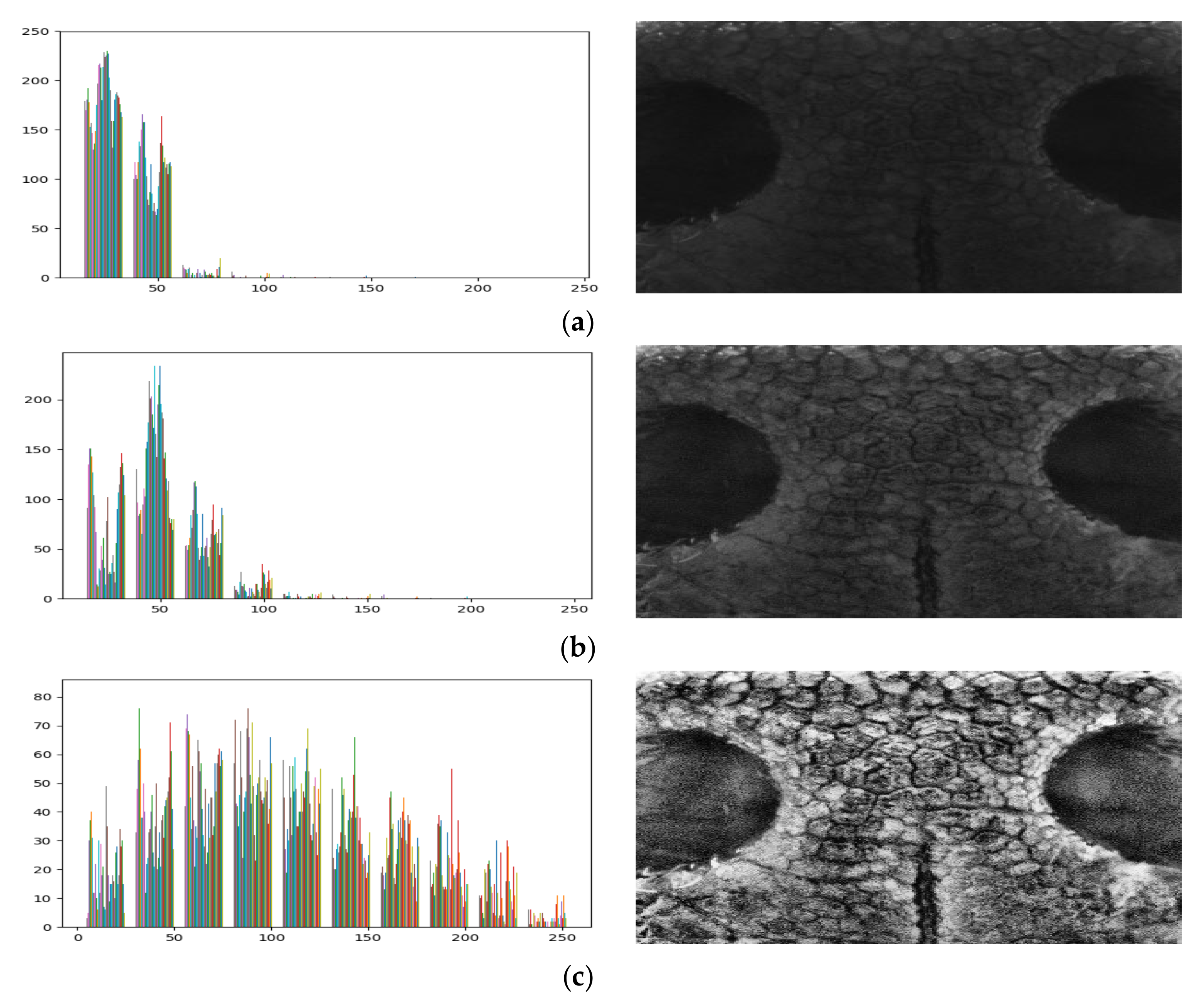 Applsci 10 08994 g006