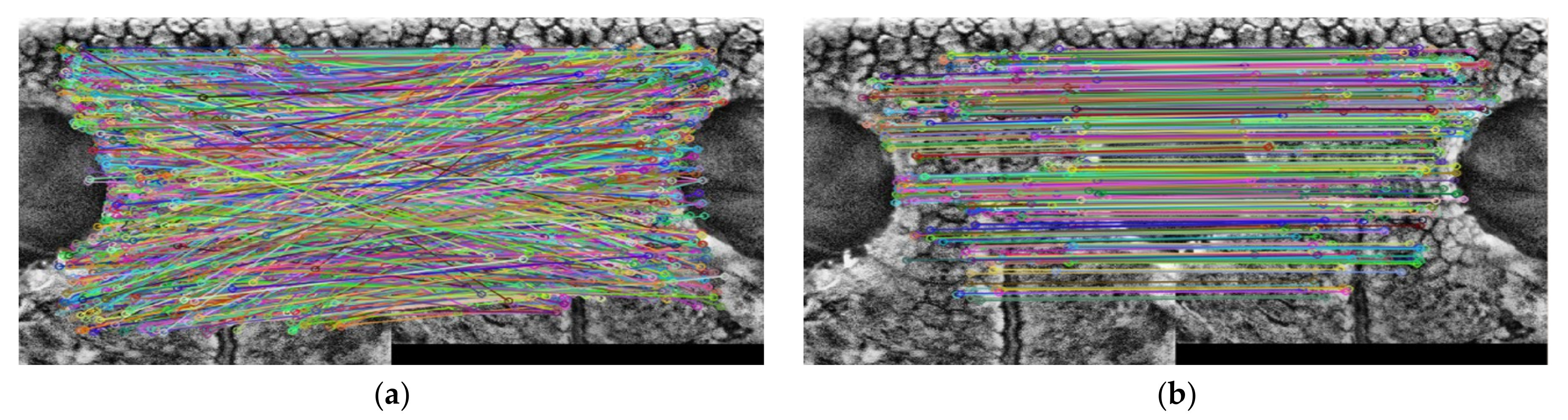 Applsci 10 08994 g009