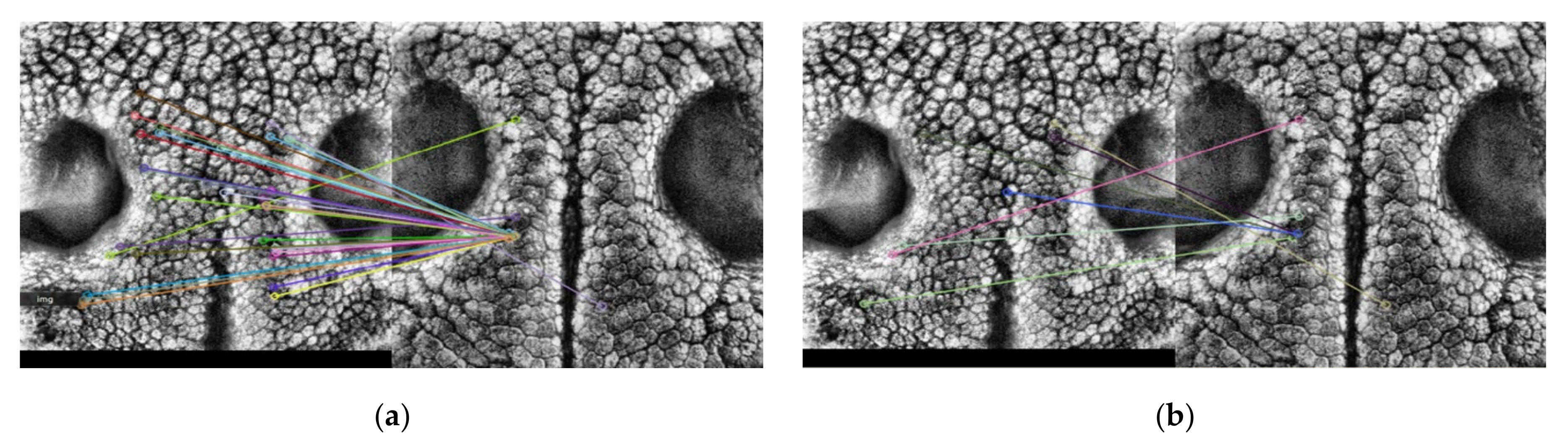 Applsci 10 08994 g010