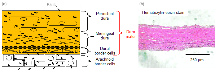 Applsci 10 09000 g002 Applsci 10 09000 g002