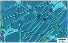 Applsci 10 09000 i001 Applsci 10 09000 i001