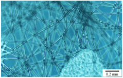 Applsci 10 09000 i002 Applsci 10 09000 i002